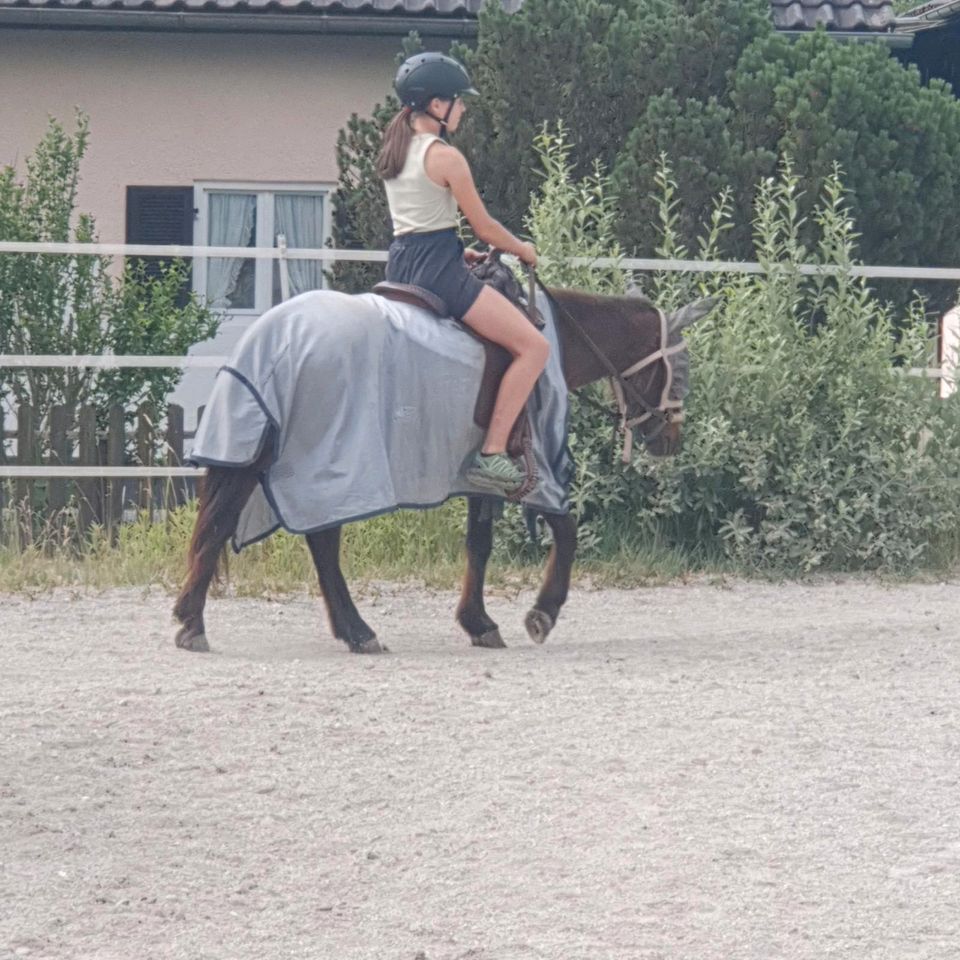 Tageskinder während der gesammten Sommerferien in Tuntenhausen