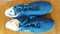 Puma Palermo Sneaker Neu blau 46 Dresden - Neustadt Vorschau