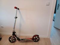 Hudora Big Wheel 205 rot silber Rheinland-Pfalz - Asbach Vorschau