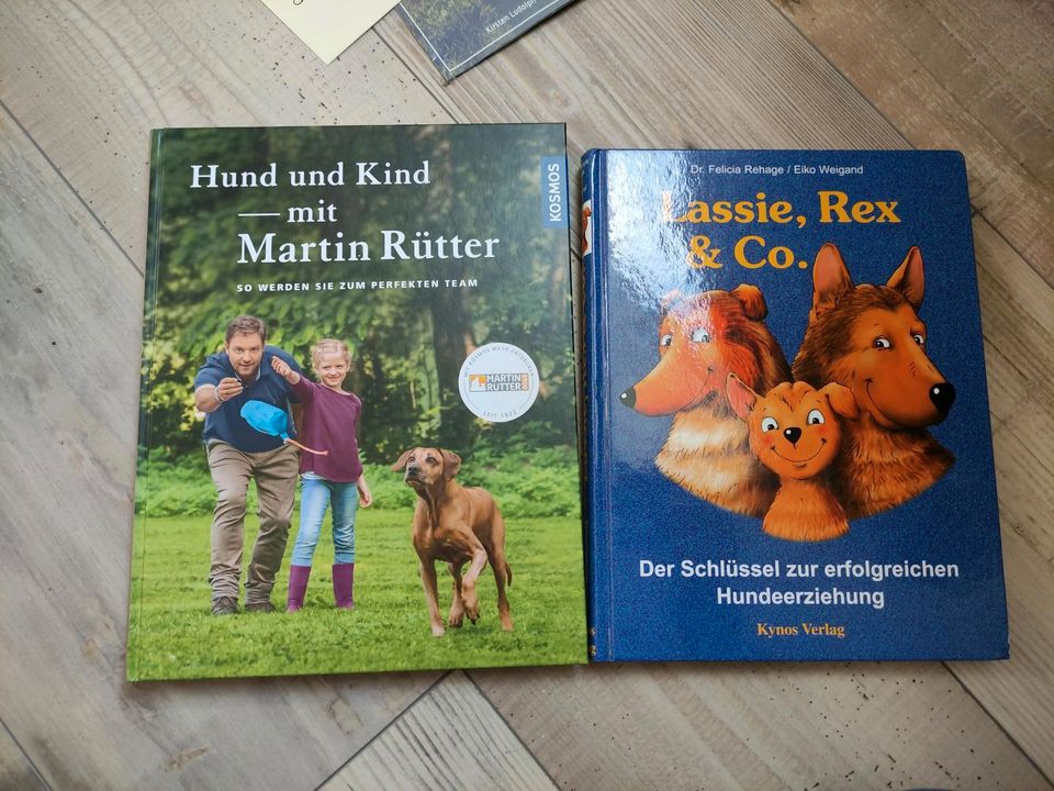 Kind und Hund / Lassie, Rex und Co. / Hundeerziehung in Goch