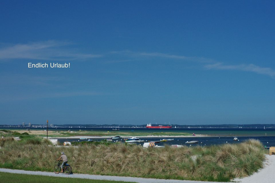 Super Ferienwohnung mit Garten bis 6 Pers. SL Ostsee Stein ab in Stein (Probstei)