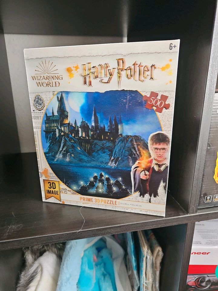 Harry Potter 3D puzzle in Kiel