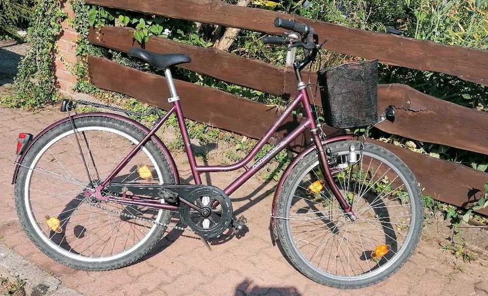 Damenfahrrad Hanseatic Sturmy 26 Zoll 3 Gang in Heuerßen