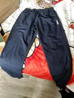 Adidas hose Gr. L Brandenburg - Peitz Vorschau