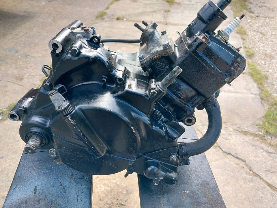 Motor Nsr 50 AC08E in Tornau v d Heide