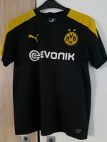 BvB Kindertriko Größe  176 Münster (Westfalen) - Centrum Vorschau