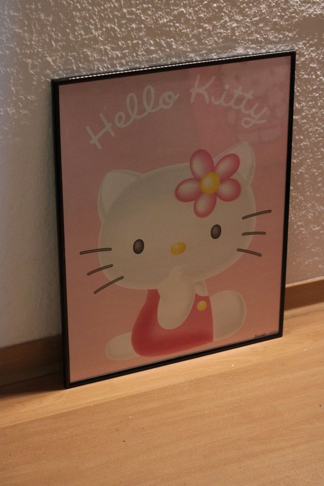 Hello Kitty Bild Poster Rahmen 40x50 cm rosa pink bunt in Leipzig
