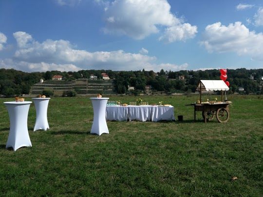 Mobile Bar - Sektempfang | Candybar zur Hochzeit Geburtstag Fest in Pirna