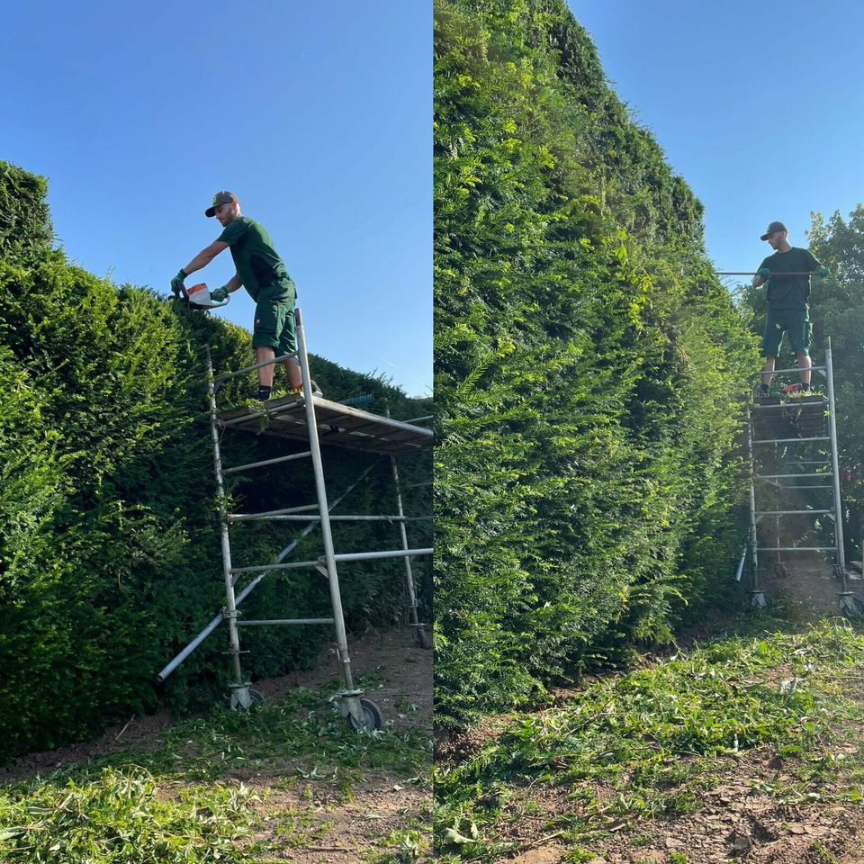 Grünschnitt I Grünpflege I Hecke I Rasen I Garten I Service in Lorch