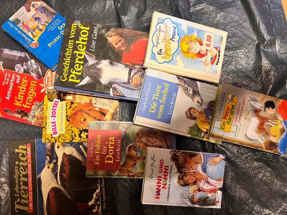 Karton Kinderbücher Pferdebücher Mädchen in Dörentrup