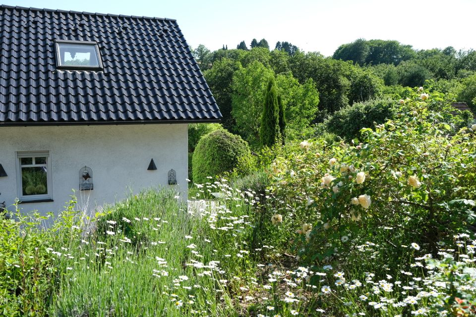 Ankommen,sich wohlfühlen Einfamilienhaus m. Einliegerwohnung naturnah und zentral gelegen-bezugsfrei in Solingen