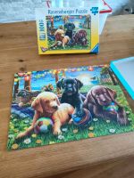 Ravensburger Puzzle 100 XXL Hunde Welpen Baden-Württemberg - Donaueschingen Vorschau