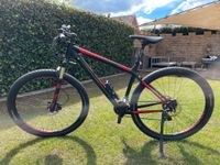 Mountainbike Focus 29 Zoll Modell: Black Forest Niedersachsen - Cloppenburg Vorschau