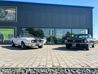 Ford Mustang Cabrio oder Coupe 1967 V8 Tagesmiete Fotoshooting Niedersachsen - Hameln Vorschau