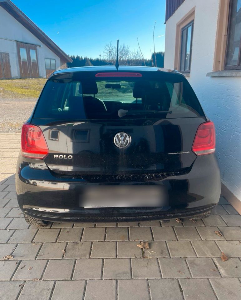 VW Polo 6R 1.2l in Wangen im Allgäu