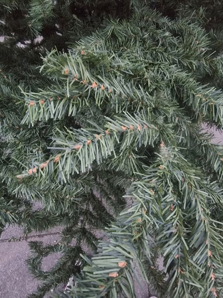 Weihnachtsbaum Nordmann künstlicher Weihnachtsbaum in Vettweiß