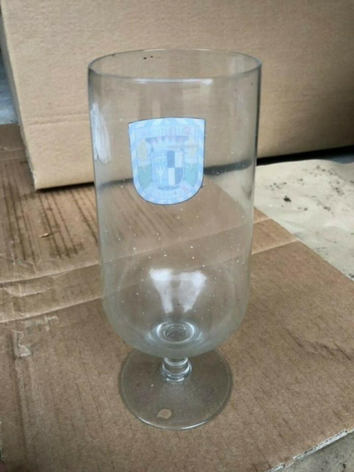 Tulpen Biergläser Brauerei Reichelsbräu 0,5L Neu in Grafenrheinfeld