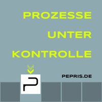 Pepris ERP | PPS-System | Software | Softwareentwickler Baden-Württemberg - Heidenheim an der Brenz Vorschau