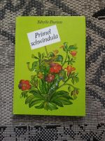 Primel Schwindula, DDR Kinderbuch Brandenburg - Premnitz Vorschau