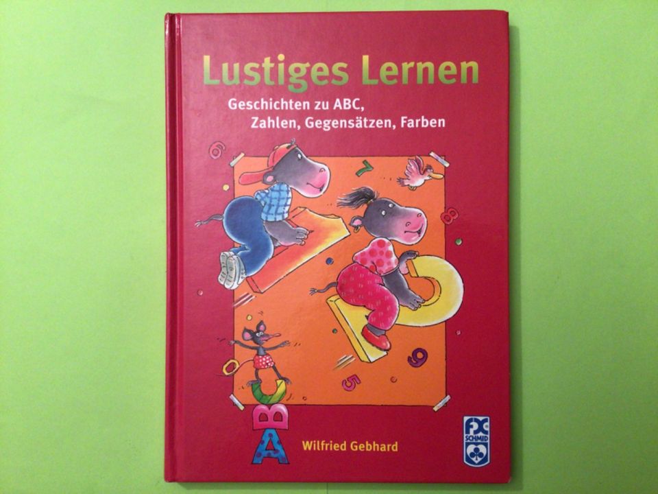 Lustiges Lernen: Geschichten zu ABC, Zahlen, Gegensätzen, Farben in Norderstedt