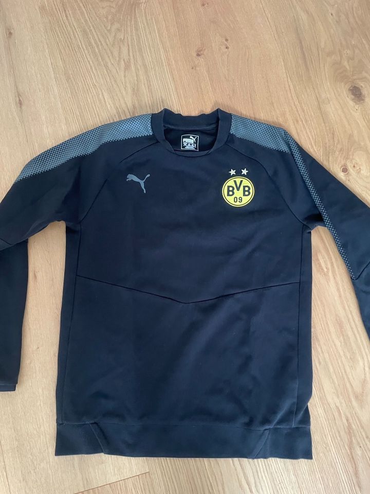 Borussia Pullover in Hochheim am Main