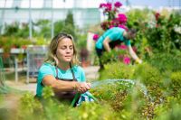 Helfer in der Gartenpflege und Flächenreinigung (m/w/d) Niedersachsen - Goslar Vorschau