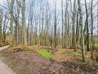 AUKTION: 0,6 ha Wald-/Splitterflächen Thüringen - Ruhla Vorschau