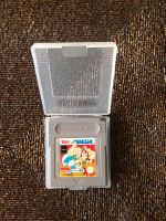 Game Boy Spiel Asterix & Obelix inklusive Schutzhülle München - Thalk.Obersendl.-Forsten-Fürstenr.-Solln Vorschau