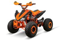 Nitro Speedy Eco Quad 1000 Watt, Wellen Antrieb Nordrhein-Westfalen - Rietberg Vorschau