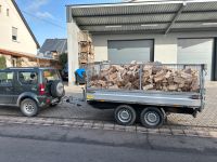 Brennholz Kaminholz Fichte trocken Abverkauf 71 € Srm Rheinland-Pfalz - Guldental Vorschau