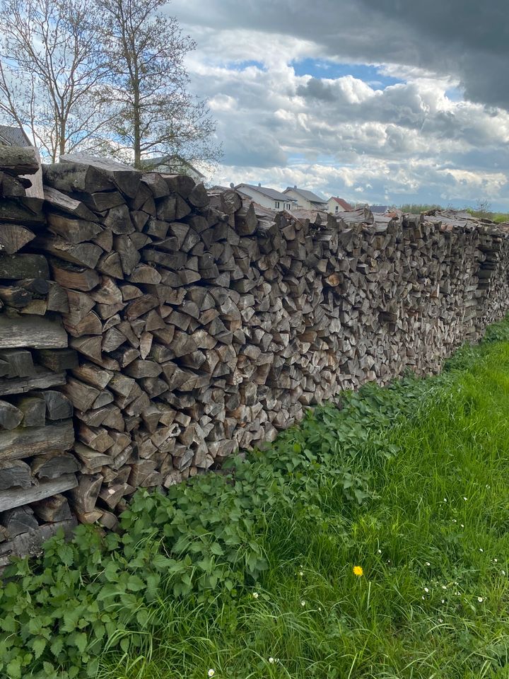 Brennholz Buche in Boxberg