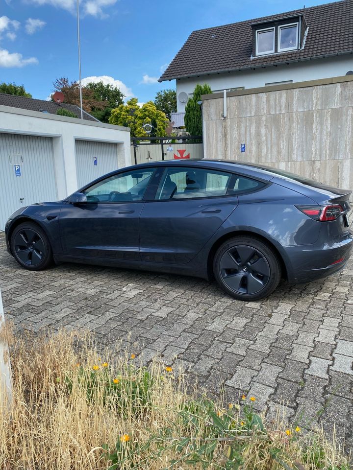 Tesla Model 3 SR+ grau in Niederkassel