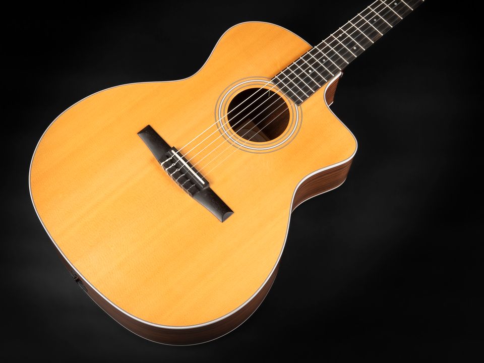 2021 Taylor 214ce-N | Crossover Konzertgitarre Nylon Pickup Cut in Niebüll