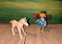 Playmobil 4692 Elfenprinzessin mit Einhorn VOLLSTÄNDIG Nordrhein-Westfalen - Kranenburg Vorschau