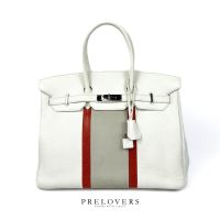 HERMÈS PARIS BIRKIN 35 CLUB Sondermodell Lizard weiss Hermes Hamburg-Nord - Hamburg Uhlenhorst Vorschau