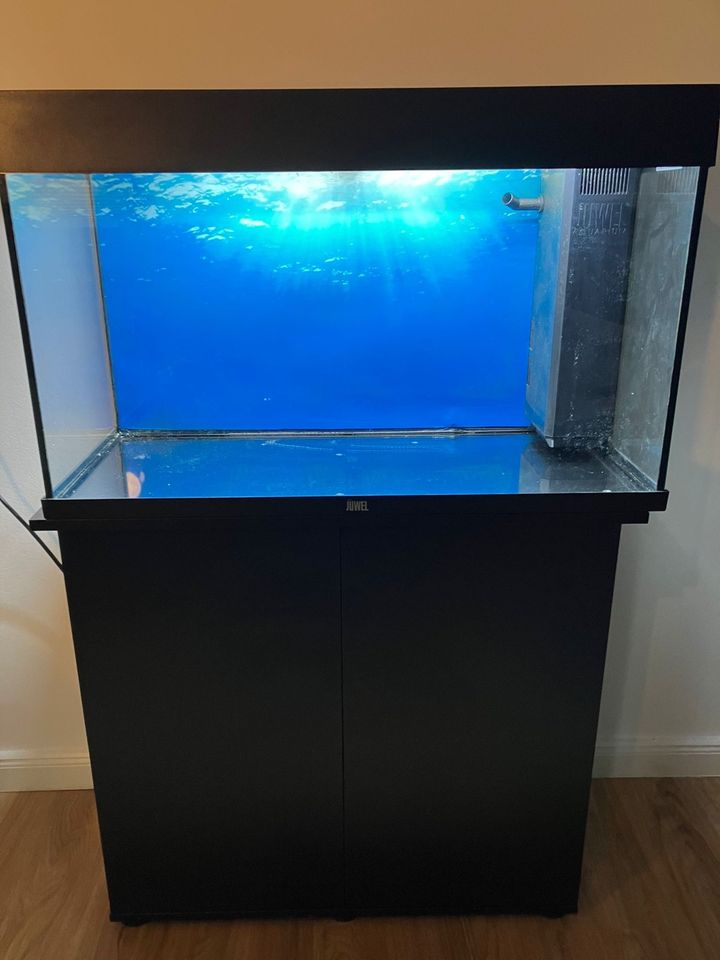 Juwel Aquarium - Rio LED schwarz 125L 375€originalp +set in Dortmund