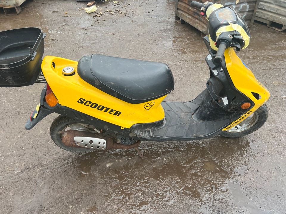 Roller Rex Scooter 50ccm 2 Takt in Hambergen