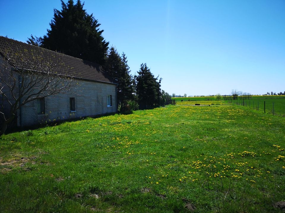 Schöner Hof in Alleinlage in 14641 Wachow in Nauen