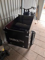 Babboe Dog E- Lastenrad wie neu Nordrhein-Westfalen - Hückelhoven Vorschau