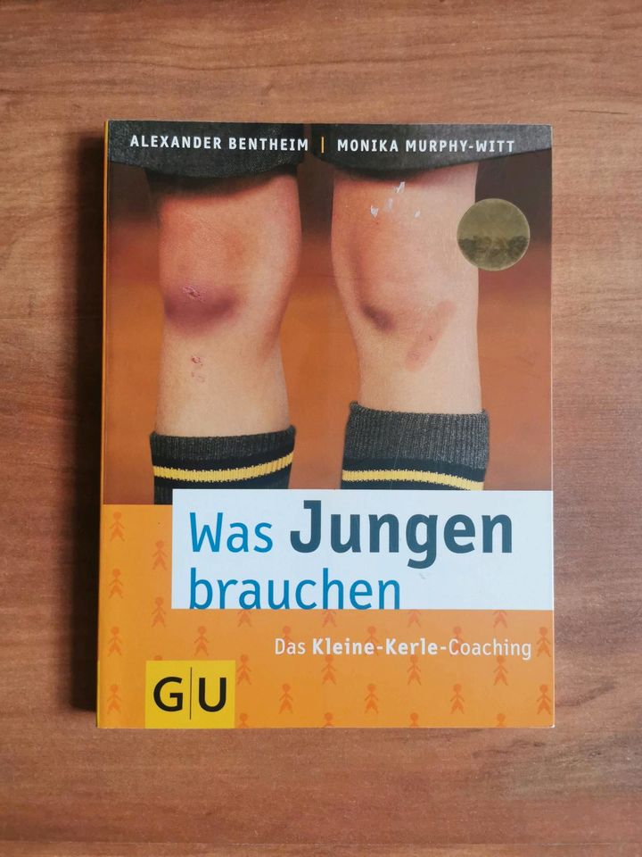 Buch ,, Was Jungen brauchen '' in Hörden am Harz