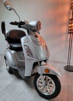 E-Trike Elektromobil Seniorenmobil 20 km/h Lithium Elektroroller München - Maxvorstadt Vorschau