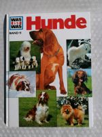 Was ist was Hunde Band 11 Info Lernen Hessen - Hirzenhain Vorschau