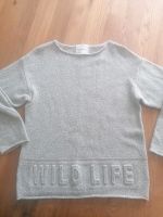 Zara Pullover Knit 128 cm Jungen Wild Life Baden-Württemberg - Öhringen Vorschau