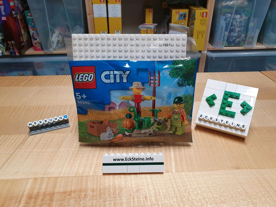 LEGO® City Bauernhofgarten mit Vogelscheuche 30590 in Abtsgmünd
