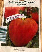 Tomatenpflanzen/ Schnäppchen/ Bioqualität Brandenburg - Stahnsdorf Vorschau