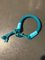Hundehalsband Halsband blau 36cm Welpen kleine Hunde Duisburg - Homberg/Ruhrort/Baerl Vorschau