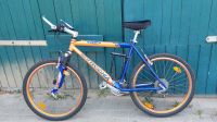 Fahrrad * BOTTECCHIA FX 5.40 Mountainbike * MTB * Shimano * TOP * Schleswig-Holstein - Tensfeld Vorschau