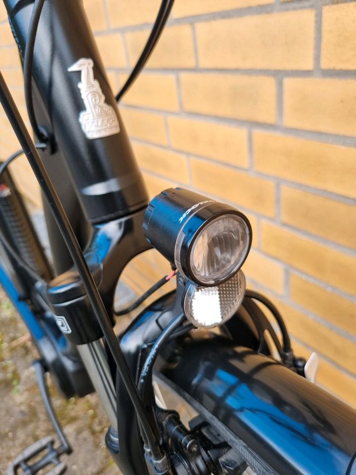 Neuwertig RALEIGH 28er, Bosch Active-line plus in Bad Bevensen