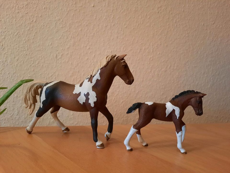 Schleich Trakener Set, Pinto  - Hengst 13756 - Fohlen 13758 in Albersdorf