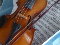 Geige Violine Suzuki Nr.220 4/4 Instrument mit Bogen Kopfstütze Schleswig-Holstein - Elmshorn Vorschau